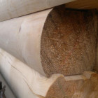 brius-pod-brevno
